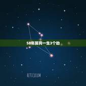 58年属狗一生3个劫，属狗人一生运程