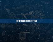 王生苗圃相声五行诗，苗阜王声相声大全《写对