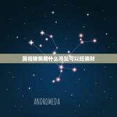 属相猪佩戴什么吊坠可以旺偏财，属猪的人带什么生肖的玉好