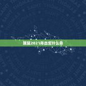 属鼠2021年出生什么命，1972年属鼠命中缺什么