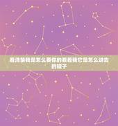 看清楚我是怎么要你的看着我它是怎么进去的镜子，你是我的镜子作文怎么审题