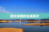 适合结婚的生肖配对，什么生肖和什么生肖结婚最好