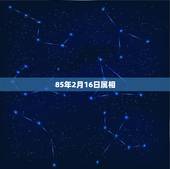 85年2月16日属相，1985年属牛阴历二月16属于什么星座