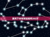 属鸡下半年财运如何2022，93年属鸡2022 年运势