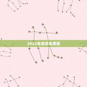 2022年虎年生男孩，2022年适合生子的属相