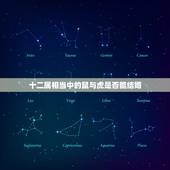 十二属相当中的鼠与虎是否能结婚，虎和鼠相配么？