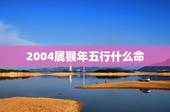2004属猴年五行什么命，1994年属狗农历9月初三生