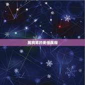属狗男的更佳属相，男属狗的几月好着了