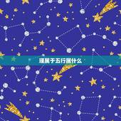 瑾属于五行属什么，瑾字五行属什么