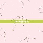 2003年属羊多大，2003年属羊的今年多大