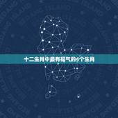 十二生肖中最有福气的4个生肖，12生肖哪个属相最好？