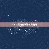 2002属马的学什么专业好，属马男孩学什么好