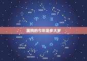 属狗的今年是多大岁，属狗的今年多大