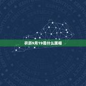 农历9月19是什么属相，公历2002年的9月19日是什么属相