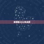 属相猴2022年运势，1980年属猴男2021年运势及运程