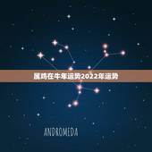属鸡在牛年运势2022年运势，1945年属鸡2022年运程
