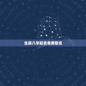 生辰八字起名免费取名，免费生辰八字起名