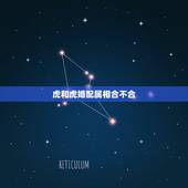 虎和虎婚配属相合不合，属虎的可以和属虎的结婚吗？