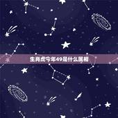 生肖虎今年49是什么属相，属虎的今年几岁啊。 求解 47岁今年属什么？
