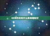 00年的龙和什么属相婚配好，属龙的和什么属相最配 属龙人的婚配表