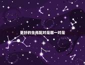 更好的生肖配对是哪一对是，婚姻属相更佳配偶