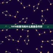 1978年属马和什么属相合作好，78年女属马配什么属相最好