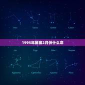 1995年属猪2月份什么命，95年属猪是什么命