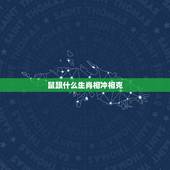鼠跟什么生肖相冲相克，生肖女属于什么生肖最合