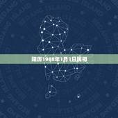 阳历1988年1月1日属相，1988年1月出生的人是属什么的？