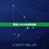 属鼠人2022年运势运程，属鸡人2022 年运势运程