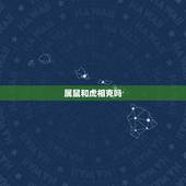 属鼠和虎相克吗，属虎人一生最旺3个人