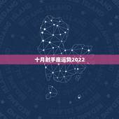 十月射手座运势2022，1999年属兔男射手座2022年运势如何？