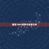 属羊1991年的今年多少岁，1991年2022 年每月运势