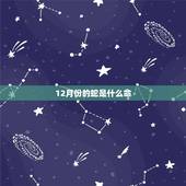 12月份的蛇是什么命，属蛇12月出生一生命运