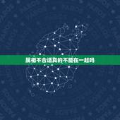属相不合适真的不能在一起吗，属相不合就不能在一起吗