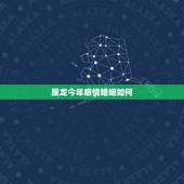 属龙今年感情婚姻如何，属龙的人的婚姻在那个方向最好