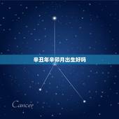 辛丑年辛卯月出生好吗，辛丑年癸巳月哪天出生好