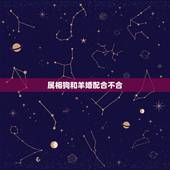 属相狗和羊婚配合不合，生肖狗和生肖羊相配吗