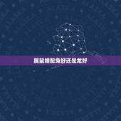 属鼠婚配兔好还是龙好，属龙和属鼠相配吗
