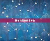 属羊和属狗的合不合，属羊和属狗的相冲吗