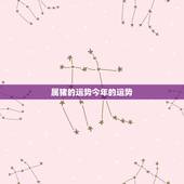 属猪的运势今年的运势，今年属猪人运气好吗？