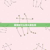 属相按什么怎么算生肖，属相怎么算？