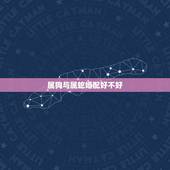 属狗与属蛇婚配好不好，属蛇的男人和属狗的女人结婚会幸福吗？