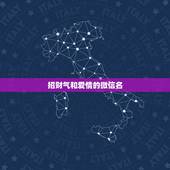 招财气和爱情的微信名，好听又招财的微信名字？