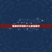 属猪的伴娘配什么属相最好，猪女配什么属相最好