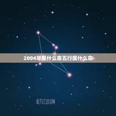 2004年是什么命五行属什么命，2004年属什么生肖五行