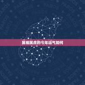 属相属虎的今年运气如何，今年属虎的运气如何