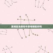属相鼠龙猴和牛属相婚配好吗，属龙和牛婚配好吗
