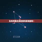 生肖鸡兔合适结婚吗属相婚配，属相为龙和兔的不能结婚吗