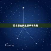 周易取名网生辰八字免费，免费生辰八字取名字